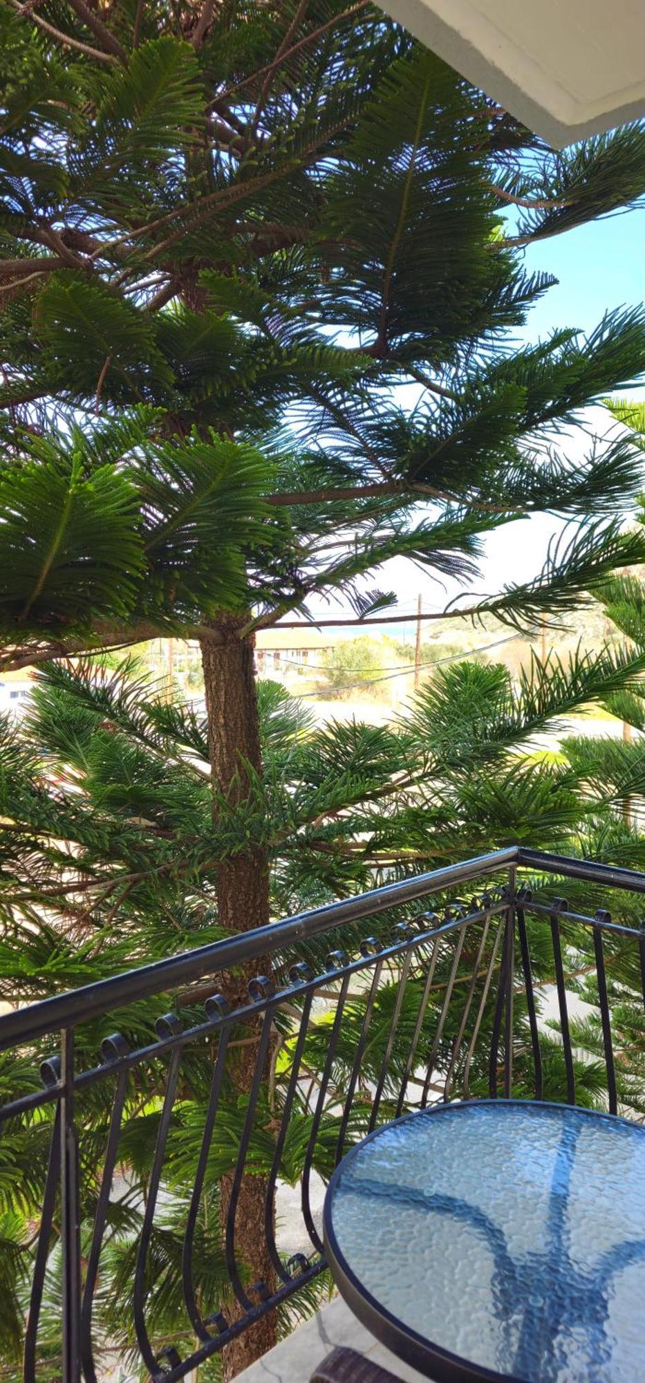 Argiropouloi Otel Parálion Ástros Dış mekan fotoğraf
